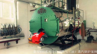 金信達(dá)鍋爐公司隆重推出新型能源及清潔燃料鍋爐 高效.環(huán)保.智能運行.省心省力